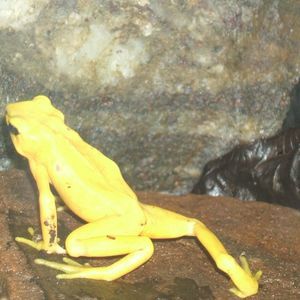 Meet your Posher, Patrick